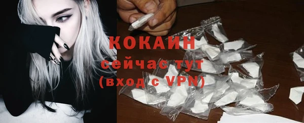 мяу мяу кристалл Бородино