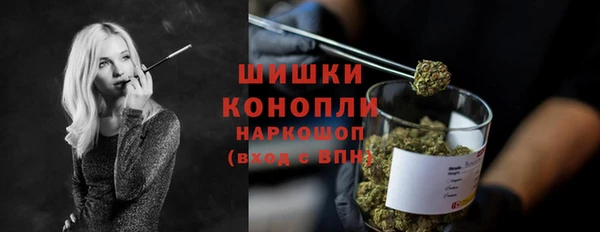 гашик Бронницы