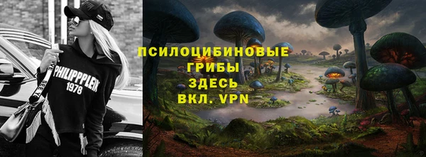 гашик Бронницы