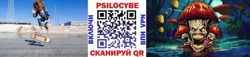 Купить  Кумертау  Галлюциногенные грибы Psilocybine cubensis 
